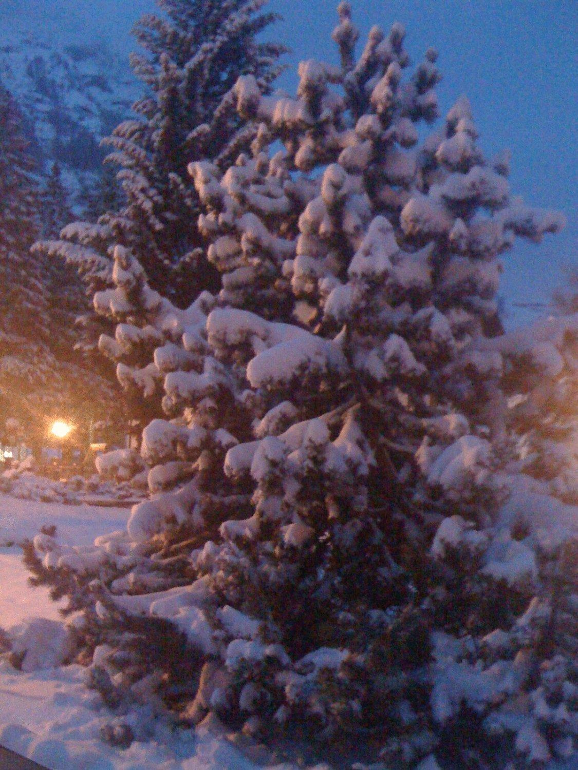גרסוני-סן-ג'אן Albergo Alpenrose Ski&Bike Mountain Hotel מראה חיצוני תמונה