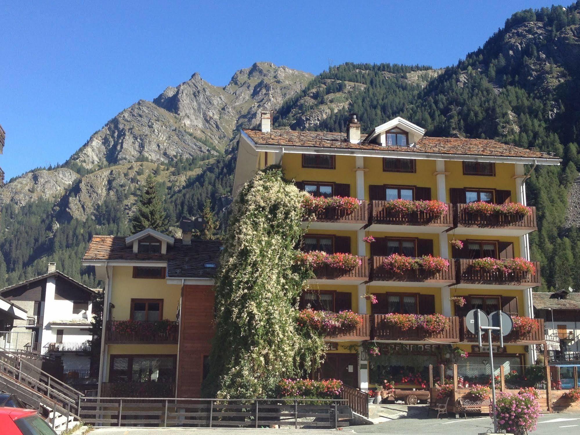 גרסוני-סן-ג'אן Albergo Alpenrose Ski&Bike Mountain Hotel מראה חיצוני תמונה