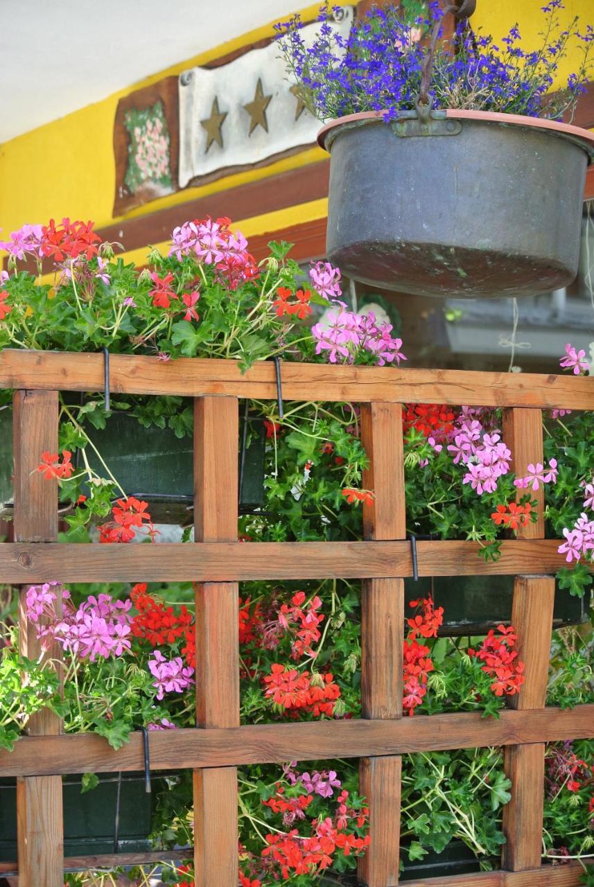 גרסוני-סן-ג'אן Albergo Alpenrose Ski&Bike Mountain Hotel מראה חיצוני תמונה