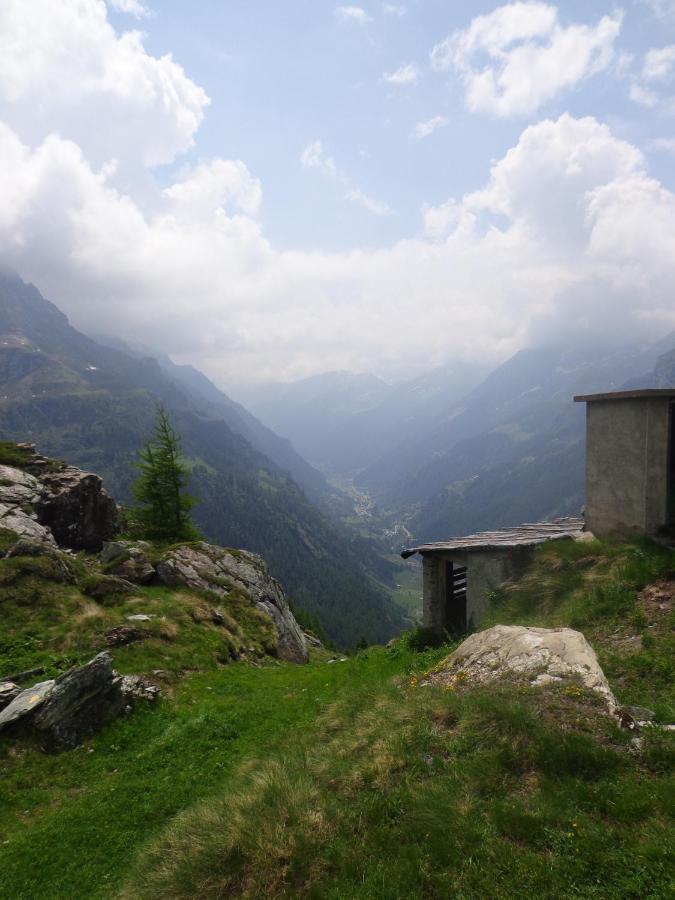 גרסוני-סן-ג'אן Albergo Alpenrose Ski&Bike Mountain Hotel מראה חיצוני תמונה